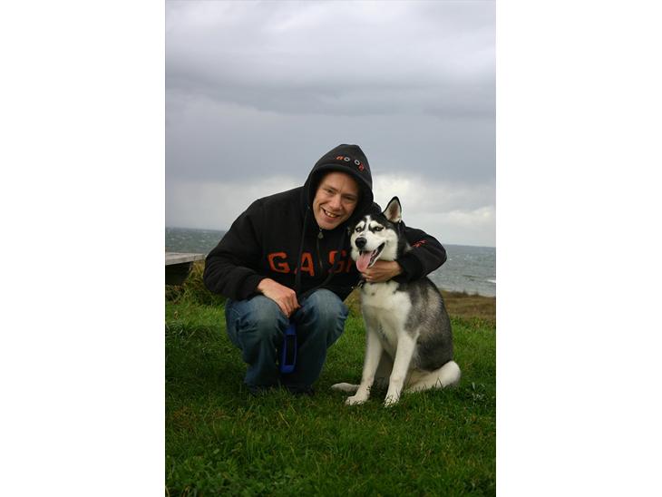 {{currentPhoto.altText}} billede {{currentPhoto.number}}