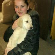 Blanding af racer Jack