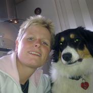 Border collie Sally
