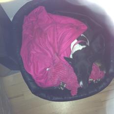 Blanding af racer Pelle