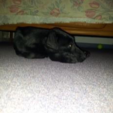 Blanding af racer Chang 