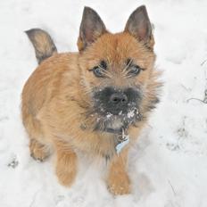 Blanding af racer rita