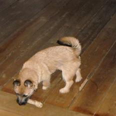 Blanding af racer rita