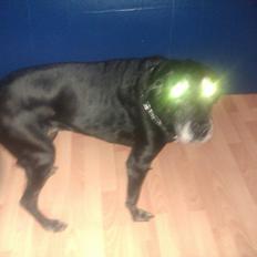 Blanding af racer fie (er savnet)