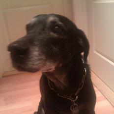 Blanding af racer fie (er savnet)