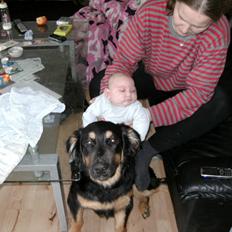 Blanding af racer Aleu