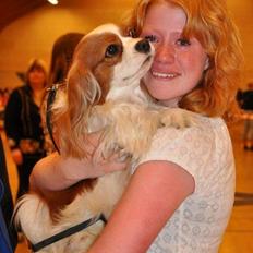 Cavalier king charles spaniel Birkedals Indi <3