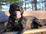 Labrador retriever Newton <3 - Newton tager lige en slapper :-D