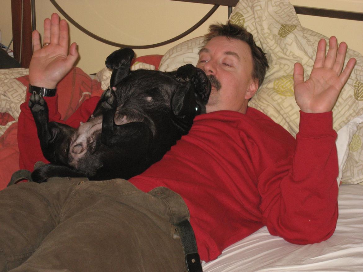 Mops Angel - Min far og Angel billede 3