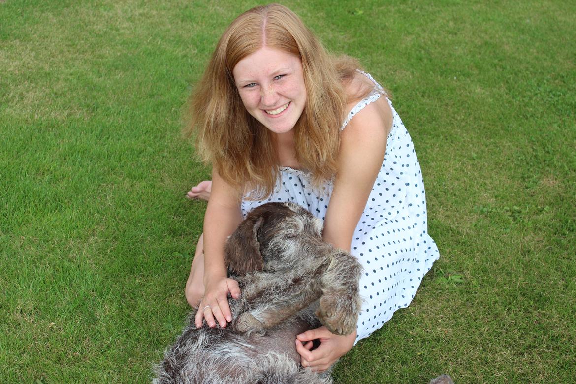 Ruhåret hønsehund Sargo - Min dejligste ven :-) billede 15