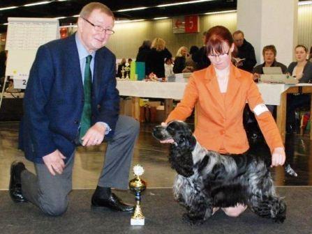 Cocker spaniel Dylan-Dan-L's Black Money billede 3