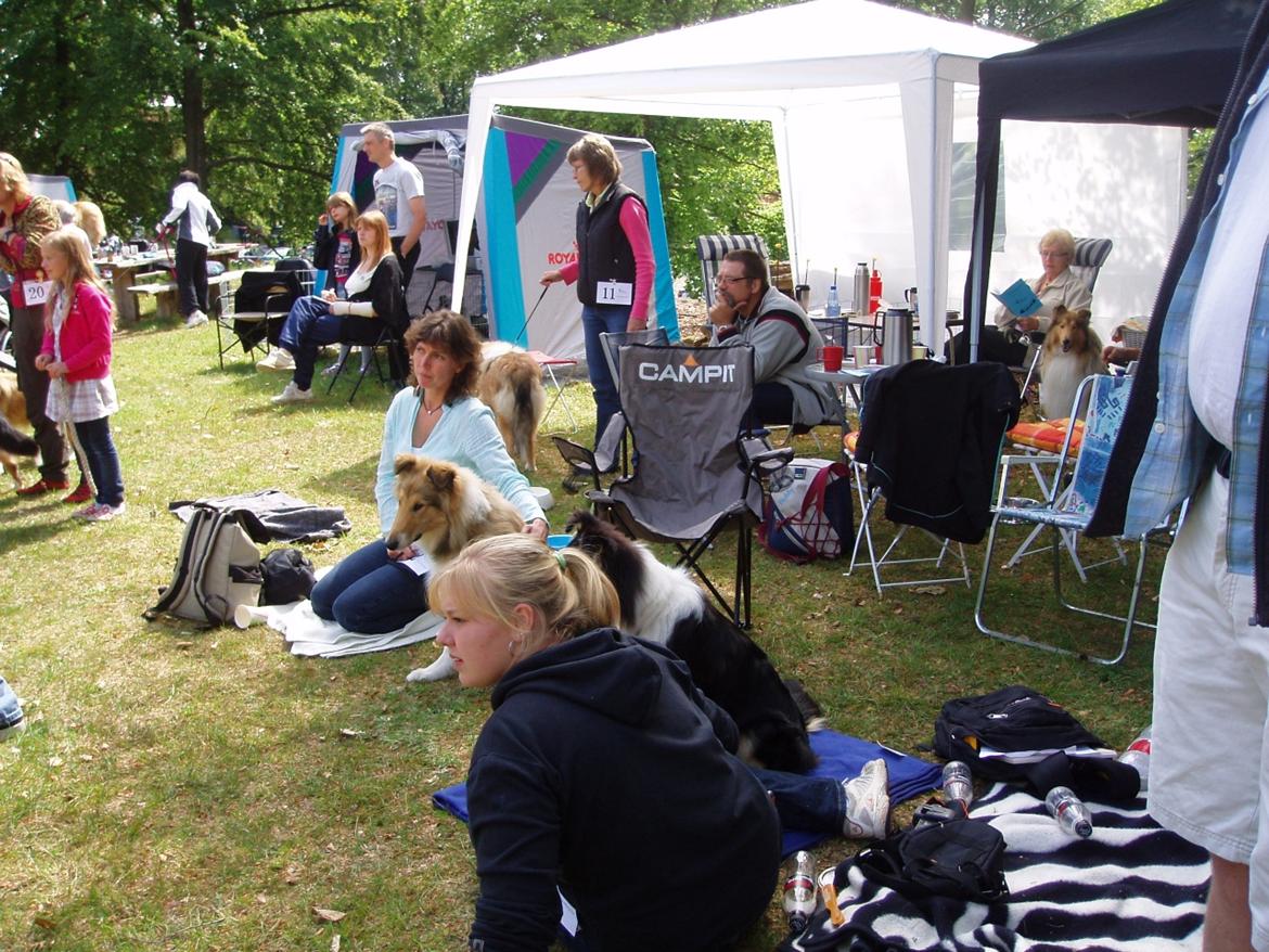 Collie langhåret Thea - Thea sammen med mig på Himmelbjerget hvor vi sidder og kigger på de andre hunde :) billede 5