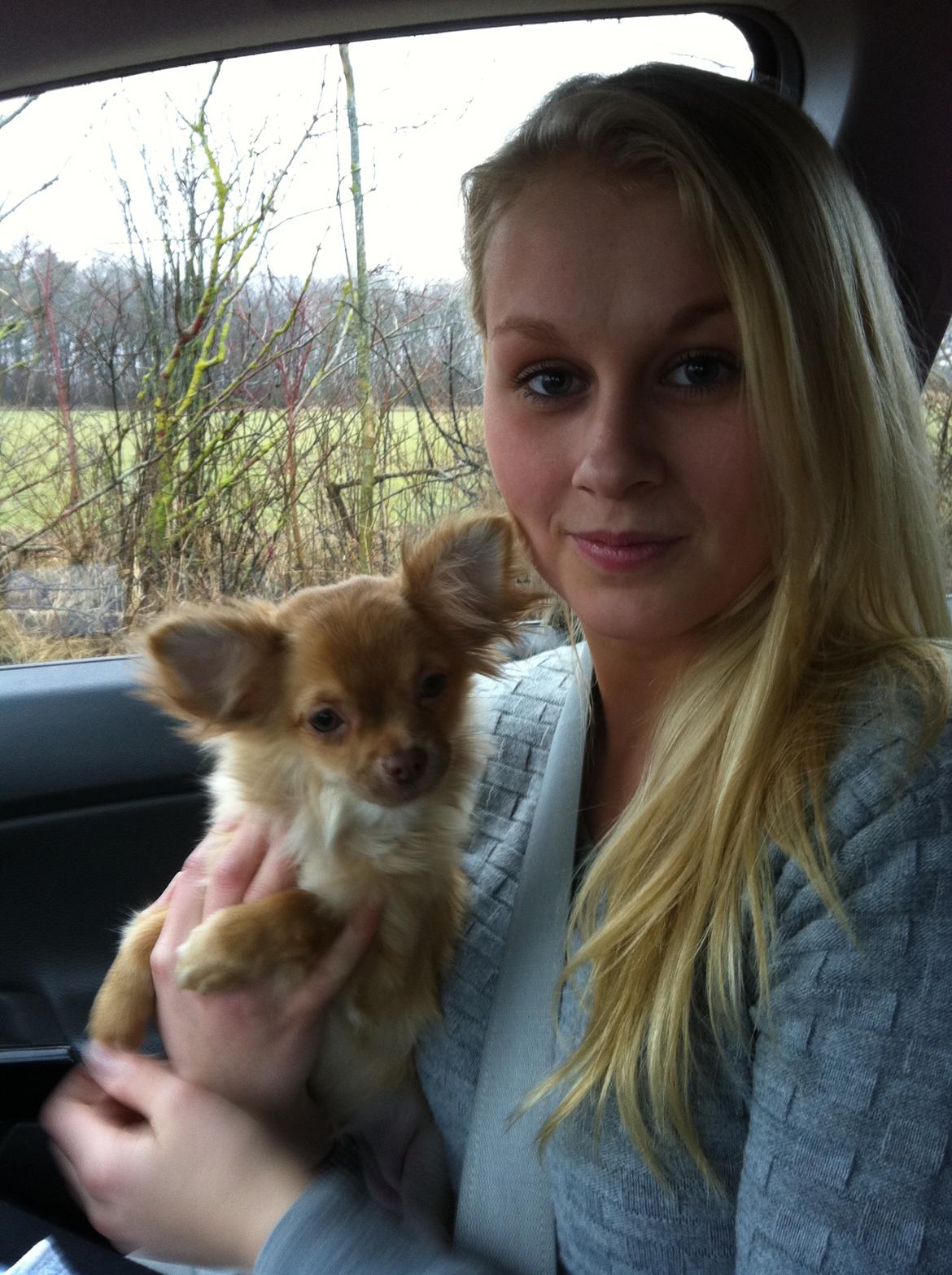 Chihuahua wawie - mig og wawie da vi hentede hende  billede 3