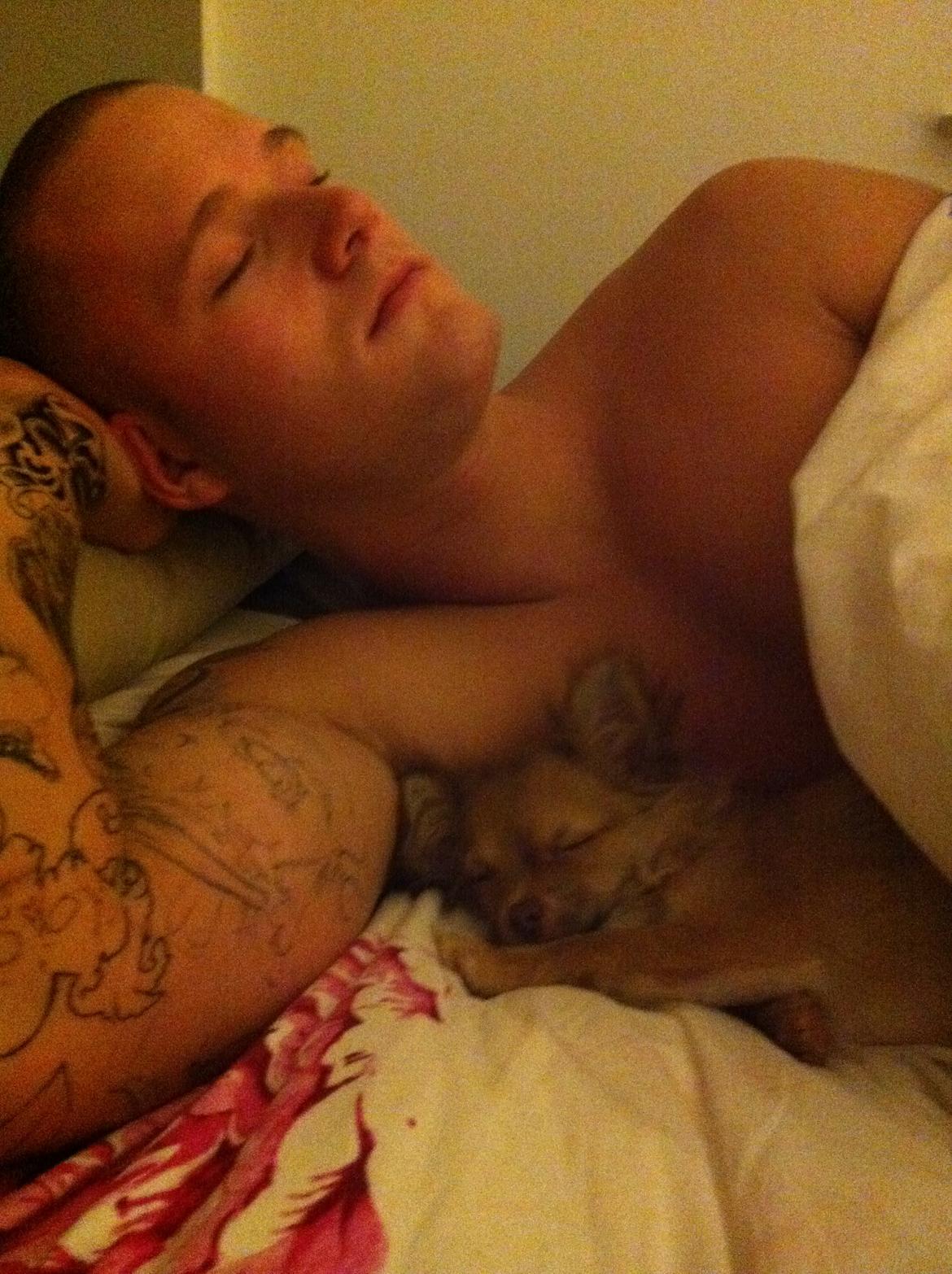 Chihuahua wawie - wawie og min kæreste patrick ligger og sover sødt  billede 5