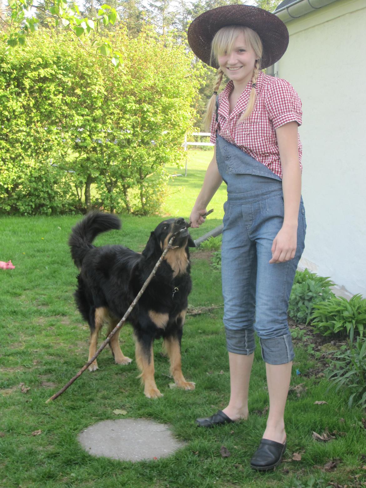 Hovawart Cohiba - Så bliver man da ikke mere hund en når man har en lang pind. billede 2