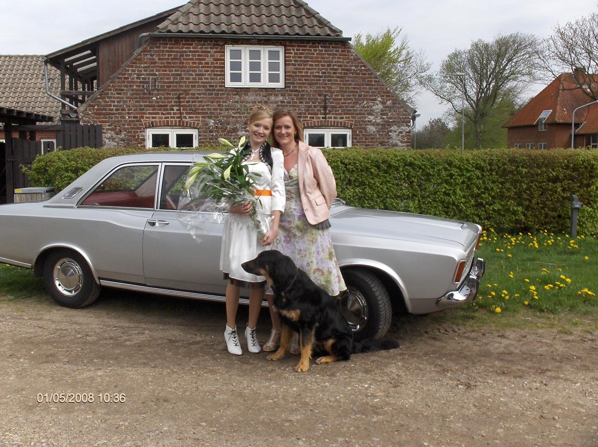 Hovawart Cohiba - Hvorfor skal jeg se fin ud. Det er meget mere spændende derovre! billede 12