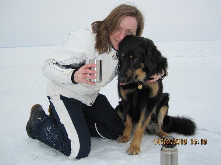 Hovawart Cohiba - Ikke alle de billeder mor.  billede 16