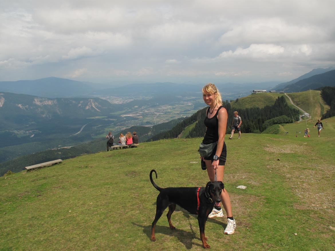 Dobermann Cuba - Sommerferie Slovenien 1 år gammel billede 9