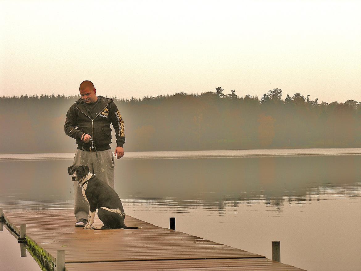 Blanding af racer Alberte billede 14