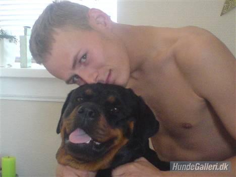 Rottweiler Chica - Chica sammen med min storebror.<3 billede 12