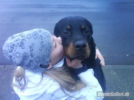 Rottweiler Ratata billede 10