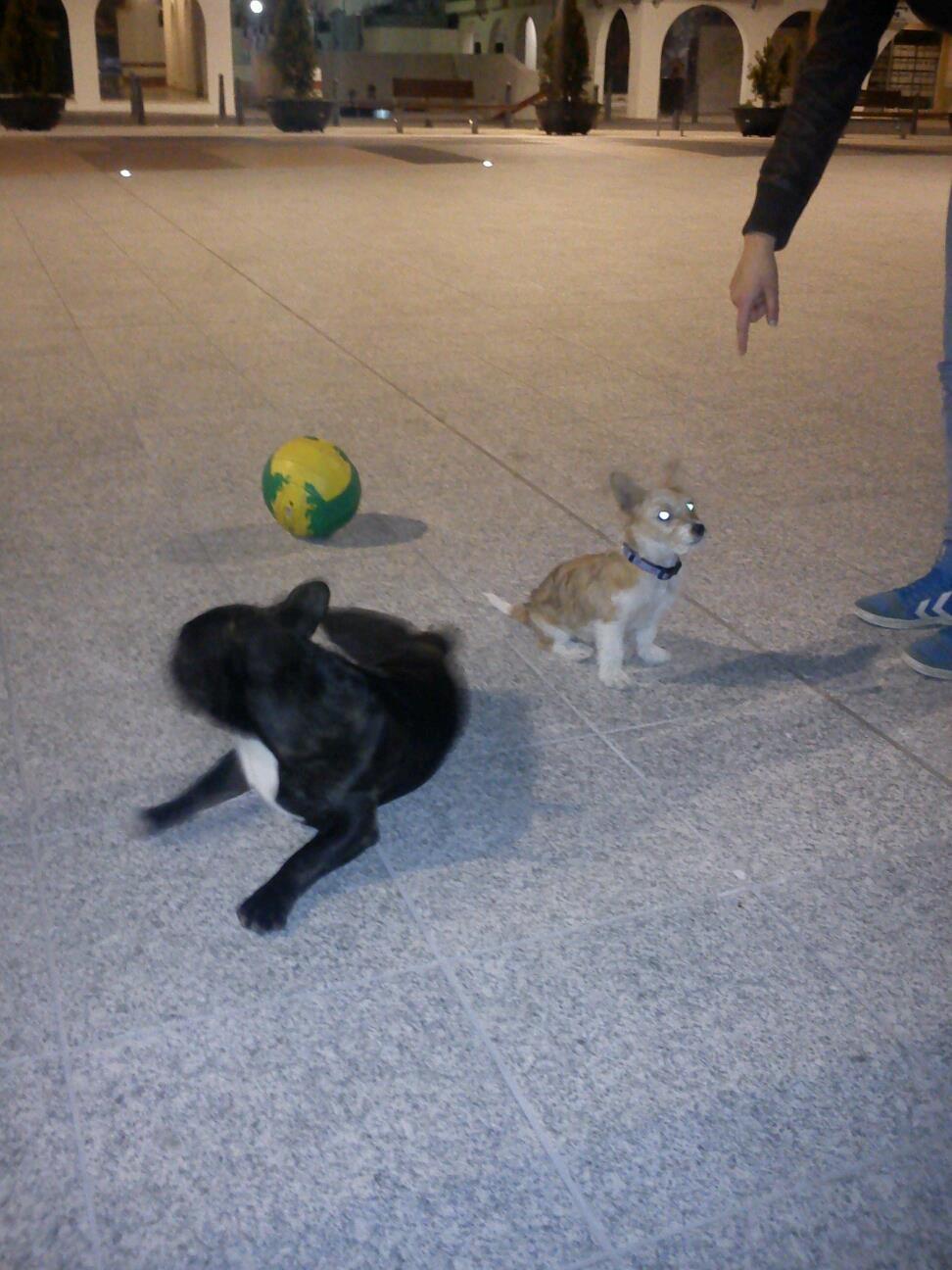 Blanding af racer Thierry Henry billede 18