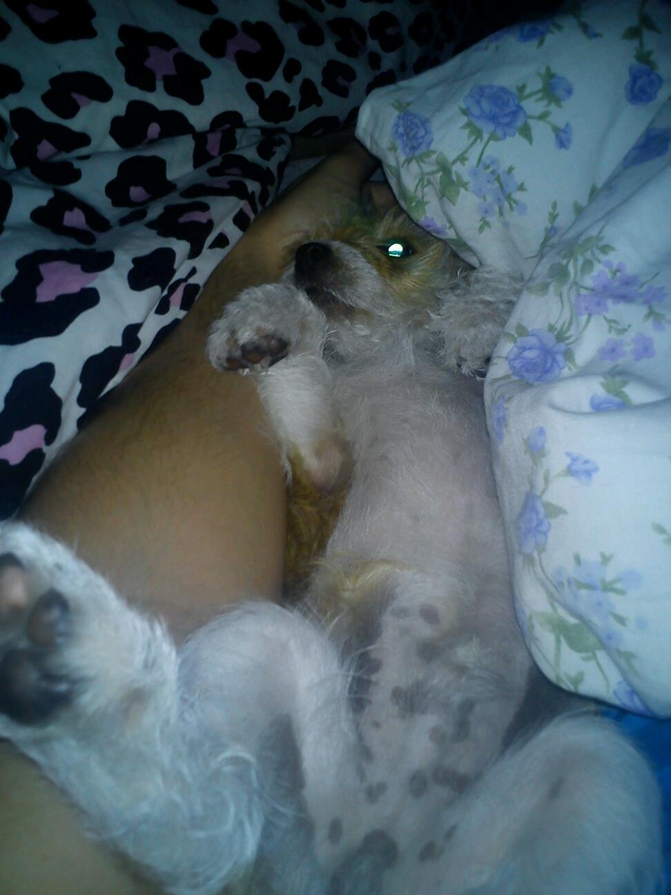 Blanding af racer Thierry Henry billede 19