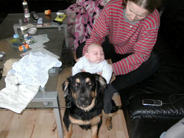 Blanding af racer Aleu billede 2