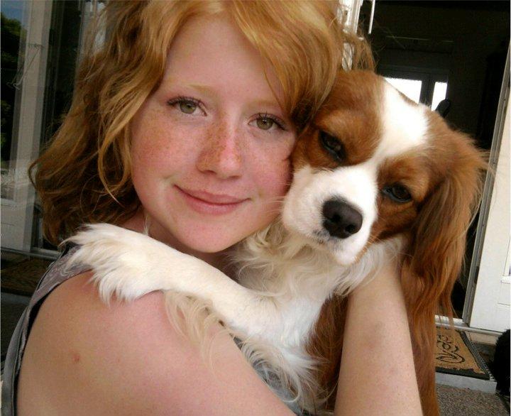 Cavalier king charles spaniel Birkedals Indi <3 - Mig og min puttehund, Indi <3 billede 1