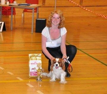 Cavalier king charles spaniel Birkedals Indi <3 - Der vinder jeg bedste han på international udstilling, så slolt at min dejlige hund!<3 billede 2