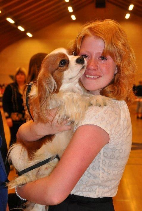Cavalier king charles spaniel Birkedals Indi <3 - Var så overglad for at have vundet så meget på den dag. Vandt bedste hanhund, CAC og junior og hund. Scorede alle præmierne :D! billede 3