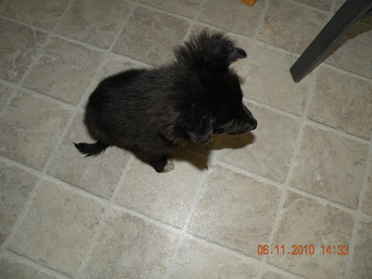 {{currentPhoto.altText}} billede {{currentPhoto.number}}