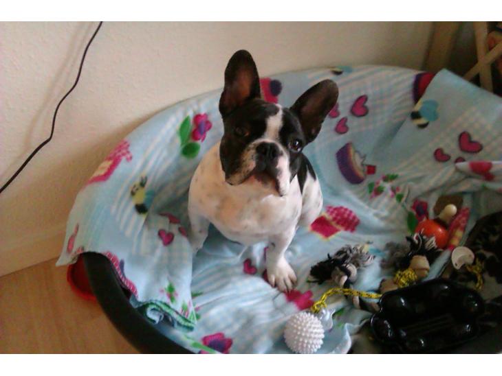 {{currentPhoto.altText}} billede {{currentPhoto.number}}