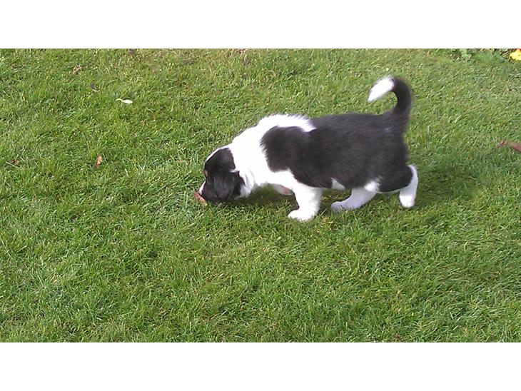 {{currentPhoto.altText}} billede {{currentPhoto.number}}