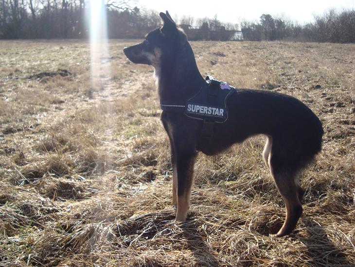 {{currentPhoto.altText}} billede {{currentPhoto.number}}