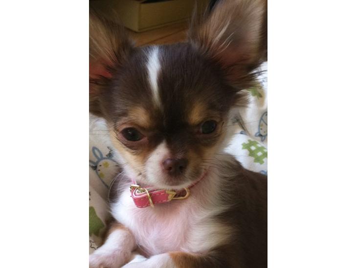 {{currentPhoto.altText}} billede {{currentPhoto.number}}