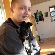 Blanding af racer Zuki