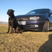 Blanding af racer Tyson