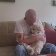 Chinese crested powder puff Cassidyis Axel