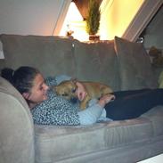 Staffordshire bull terrier Mika