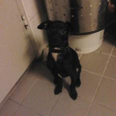 Blanding af racer  Delle