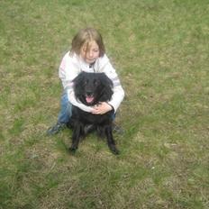 Blanding af racer Buller