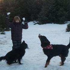 Blanding af racer Buller