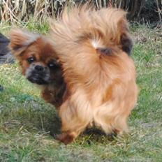 Blanding af racer Malou <3