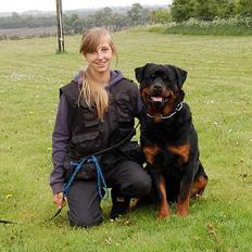 Rottweiler Hobie Vom Hause Luna