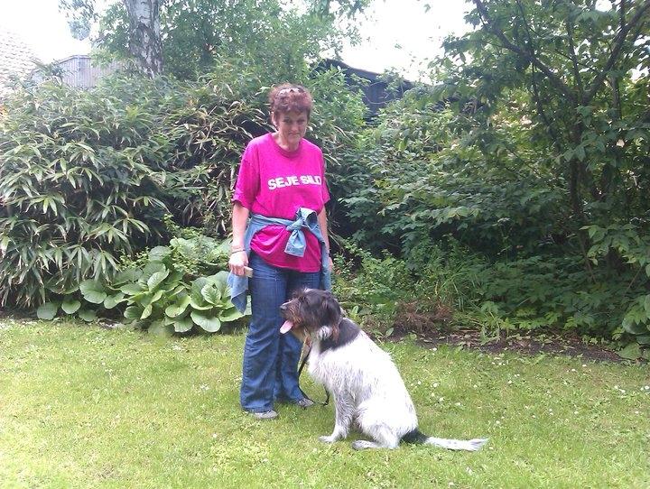 Blanding af racer Rollo (: - Rollo der er med "Seje sild på trave tur! <3 billede 19