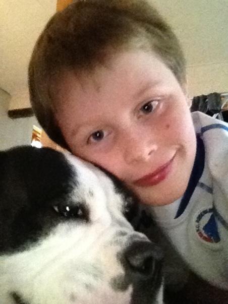 Olde victorian bulldogge Virup's Dixie aka Kiwi billede 19