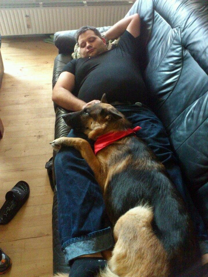 Schæferhund Freja billede 2