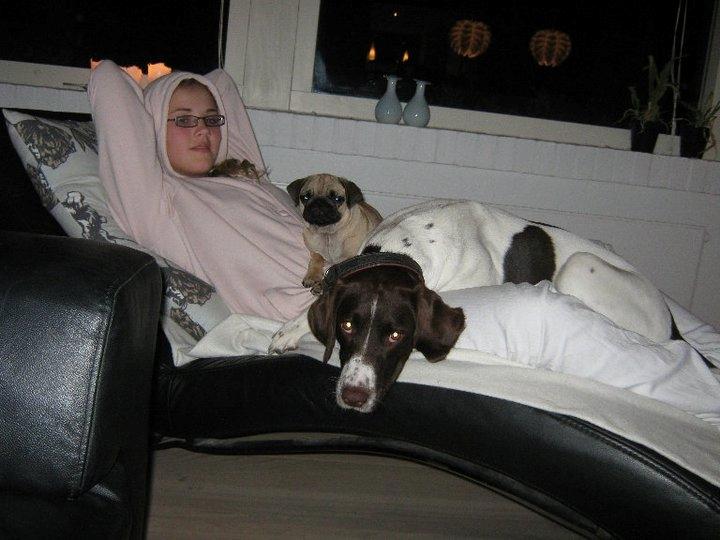 Blanding af racer Tilde (Frandsen) - Mig, Molly & Tilde hygger. billede 4