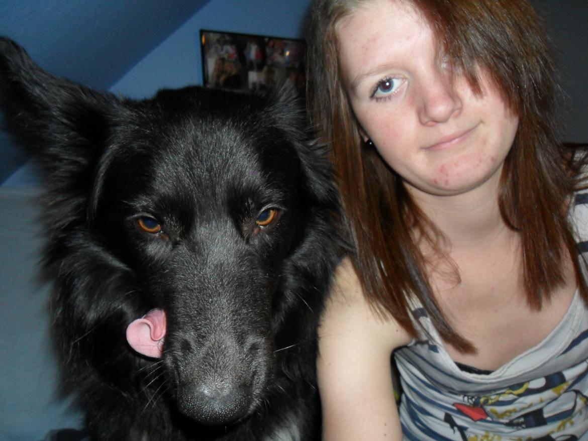 Border collie Vaks<3. - Mig & Vaks, som rigtig hygger os en fredag aften.. (: billede 14